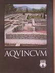 Aquincum [antikvár]