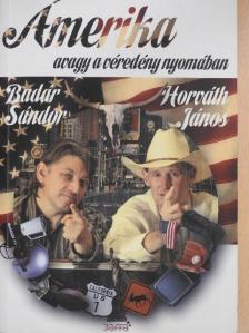 Badár Sándor - Ámerika avagy a véredény nyomában [antikvár]