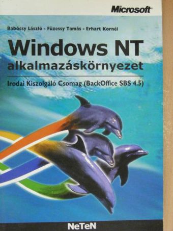 Babócsy László - Windows NT alkalmazáskörnyezet [antikvár]