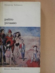 Antonina Vallentin - Pablo Picasso [antikvár]