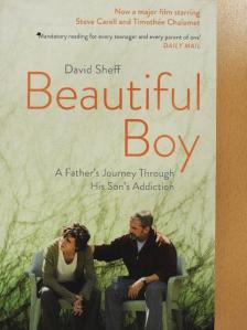 David Sheff - Beautiful Boy [antikvár]