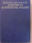 Heinrich Biltz - Ausführung quantitativer Analysen [antikvár]