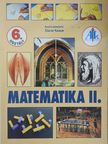 Csahóczi Erzsébet - Matematika 6/II. [antikvár]