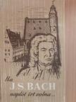 Hammerschlag János - Ha J. S. Bach naplót írt volna... [antikvár]