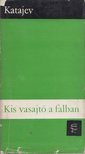 Katajev, Valentyin - Kis vasajtó a falban [antikvár]