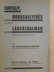 Dr. Engländer Árpád - Ludtalp, bokasüllyedés és egyéb lábfájdalmak megelőzése és gyógyítása [antikvár]
