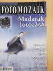 Bakó Gábor - Foto Mozaik 2012. június [antikvár]