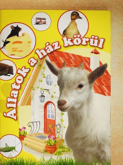 Borza Tünde - Állatok a ház körül [antikvár]