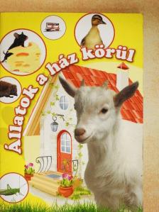 Borza Tünde - Állatok a ház körül [antikvár]