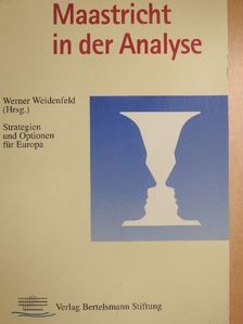 Maastricht in der Analyse [antikvár]