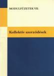 Dr. Lénárt Szilvia, Kisgyörgy Sándor, Könözsy László - Kollektív szerződések [antikvár]