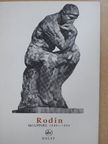 Cécile Goldscheider - Roden [antikvár]