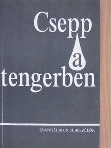 Bozóky Éva - Csepp a tengerben [antikvár]