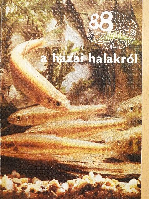 Botta István - A hazai halakról [antikvár]