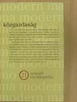 Andor László - Közgazdaság [antikvár]