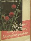 Erich Feuereißen - Wachsen und Blühen fotografisch gesehen [antikvár]