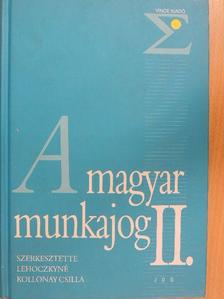 Hágelmayer Istvánné - A magyar munkajog II. [antikvár]