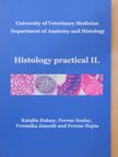 Ferenc Hajós - Histology practical II. [antikvár]