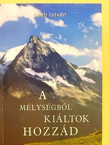 Cseh István - A mélységből kiáltok hozzád [antikvár]