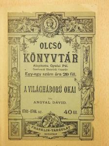 Angyal Dávid - A világháború okai [antikvár]