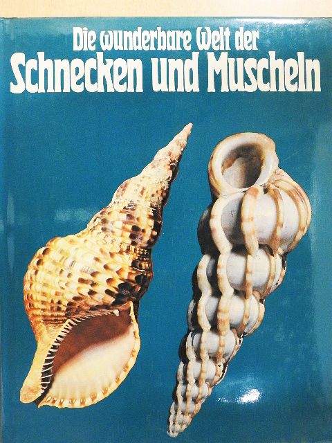 Donato Lucifora - Die wunderbare Welt der Schnecken und Muscheln [antikvár]