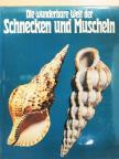 Donato Lucifora - Die wunderbare Welt der Schnecken und Muscheln [antikvár]