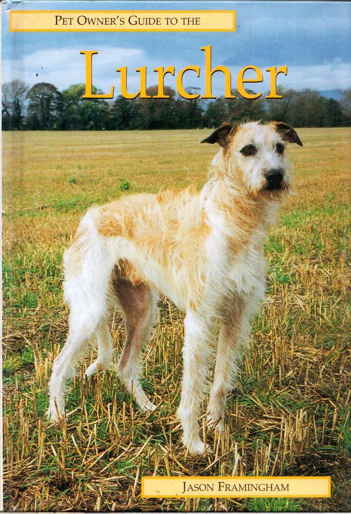 Jason Framingham - Pet Owner's Guide to the Lurcher [antikvár]