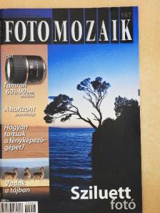 Krivánszky Árpád - Foto Mozaik 2012. április [antikvár]