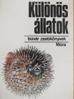 Karádi Ilona - Különös állatok [antikvár]