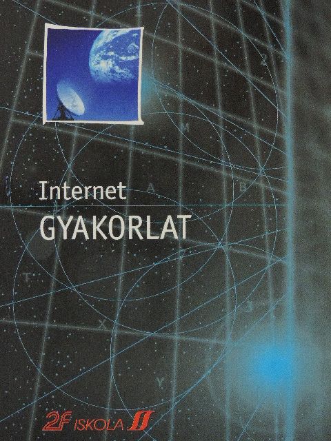 Nadia Andreini - Internet gyakorlat [antikvár]