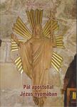 Nyiredy Maurus - Pál apostollal Jézus nyomában [antikvár]
