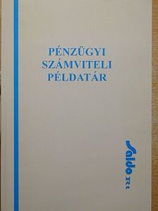 Dr. Vörös Miklós - Pénzügyi számviteli példatár [antikvár]