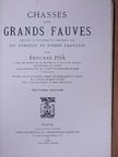 Édouard Foa - Chasses aux grands fauves [antikvár]
