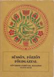 Süssön, főzzön földgázzal [antikvár]