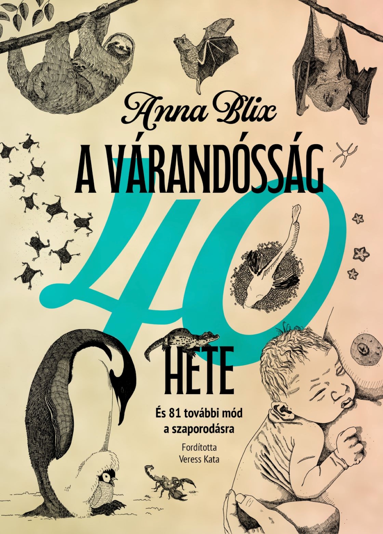 Anna, Blix - A várandósság 40 hete