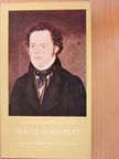 Harry Goldschmidt - Franz Schubert [antikvár]