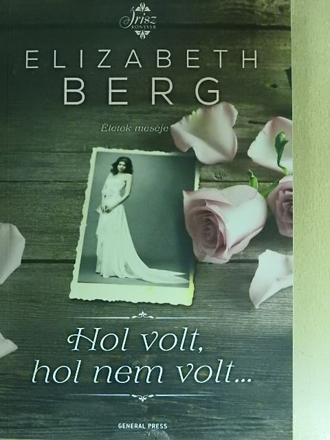 Elizabeth Berg - Hol volt, hol nem volt... [antikvár]
