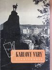Dr. Alexander Gross - Karlovy Vary [antikvár]