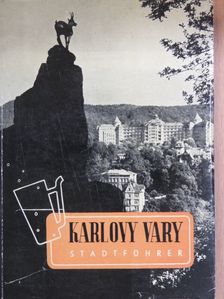 Dr. Alexander Gross - Karlovy Vary [antikvár]