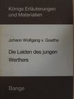 Eva Brinckschulte - Erläuterungen zu Johann Wolfgang v. Goethe Die Leiden des jungen Werthers [antikvár]