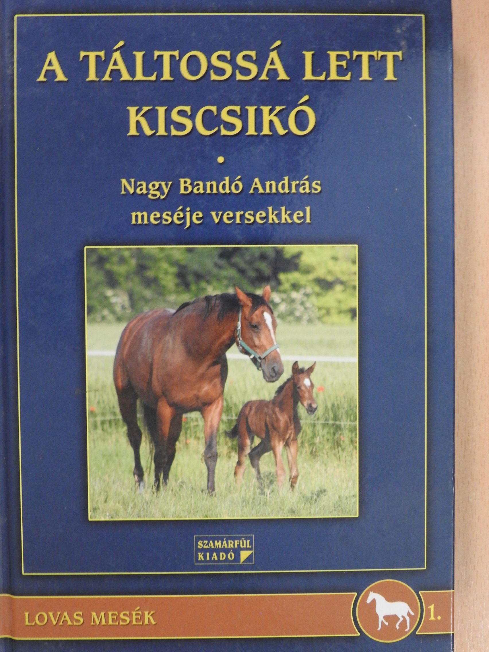 Nagy Bandó András - A táltossá lett kiscsikó (dedikált példány) [antikvár]