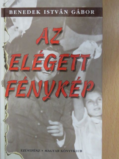 Benedek István Gábor - Az elégett fénykép [antikvár]