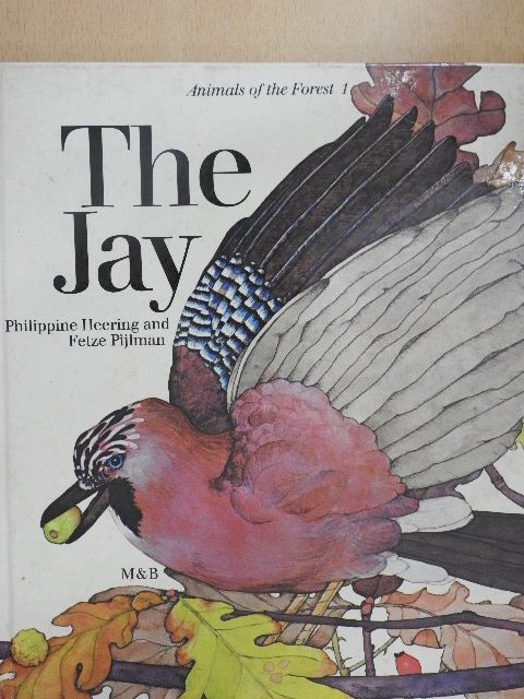 Fetze Pijlman - The Jay [antikvár]