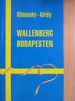 Elisabeth Klimovsky - Wallenberg Budapesten [antikvár]
