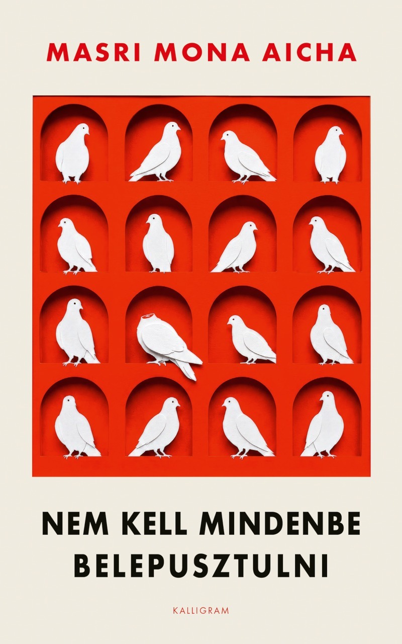 Masri Mona Aicha - Nem kell mindenbe belepusztulni [eKönyv: epub, mobi]