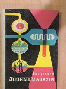 Bertolt Brecht - Das grosse Jugendmagazin [antikvár]