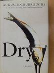 Augusten Burroughs - Dry [antikvár]