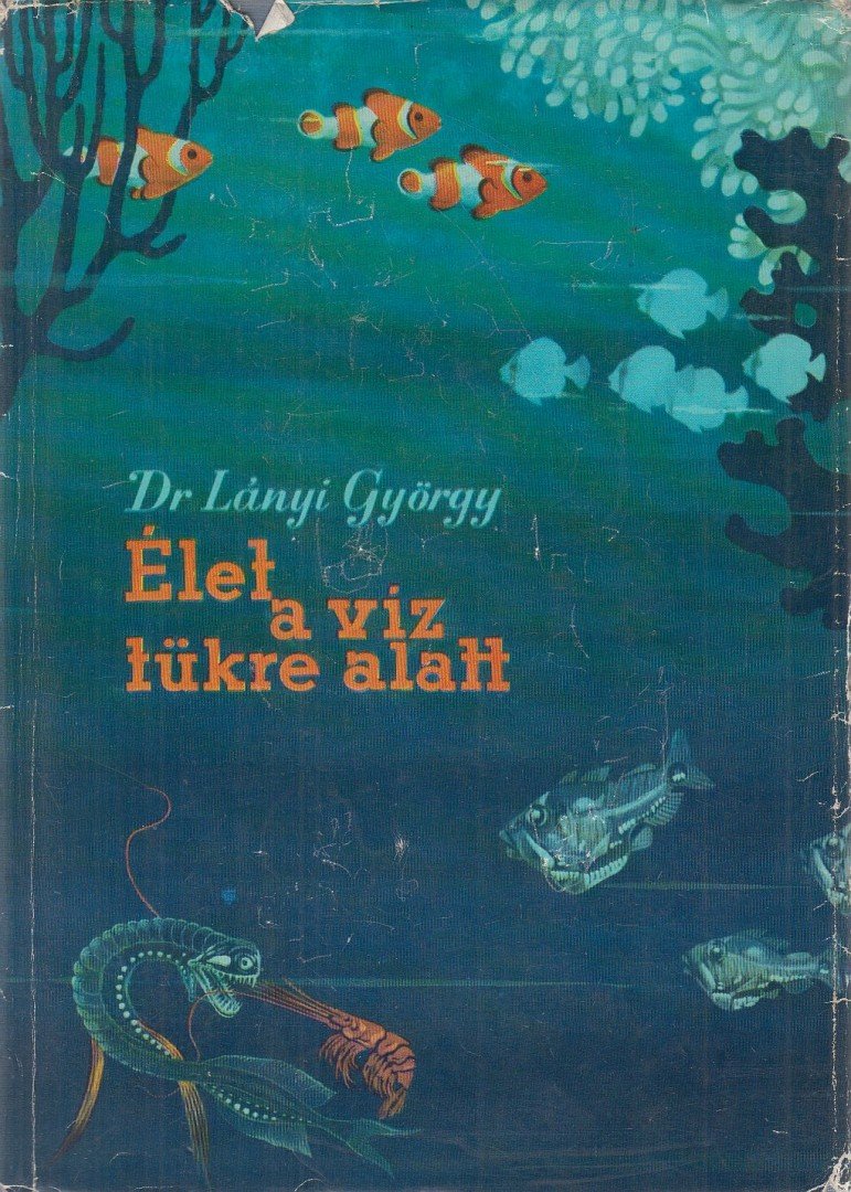 Lányi György - Élet a víz tükre alatt [antikvár]