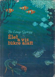 Lányi György - Élet a víz tükre alatt [antikvár]
