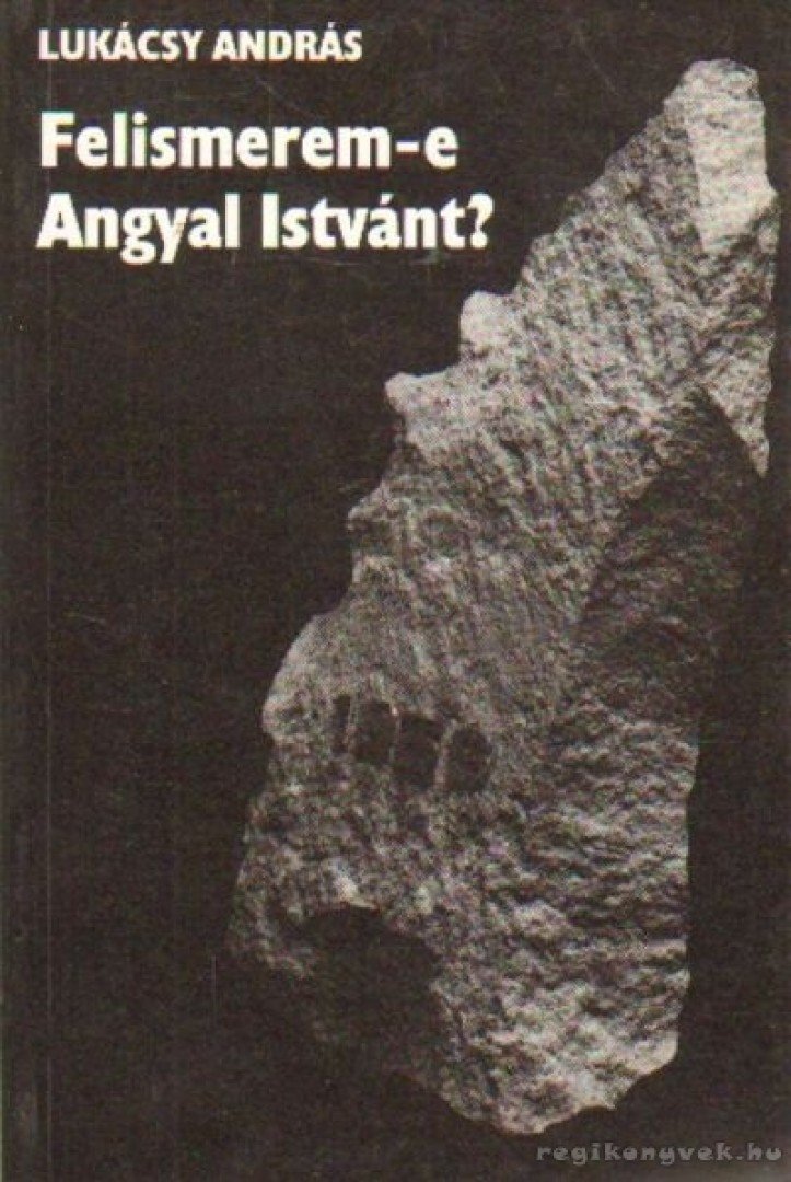 LUKÁCSY ANDRÁS - Felismerem-e Angyal Istvánt? [antikvár]